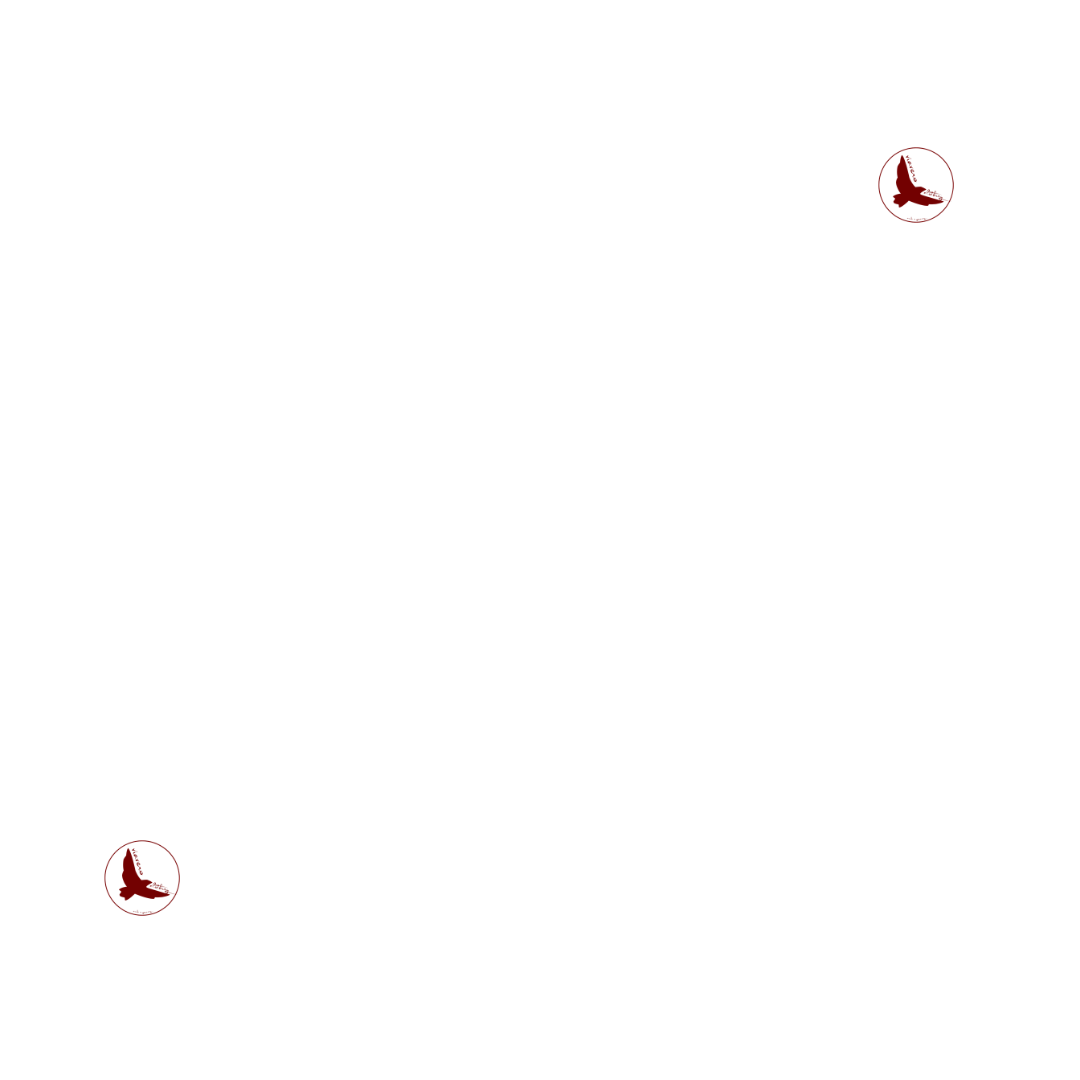 viaveroclo